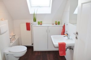 How to Install a Toilet in Your Kissimmee Home