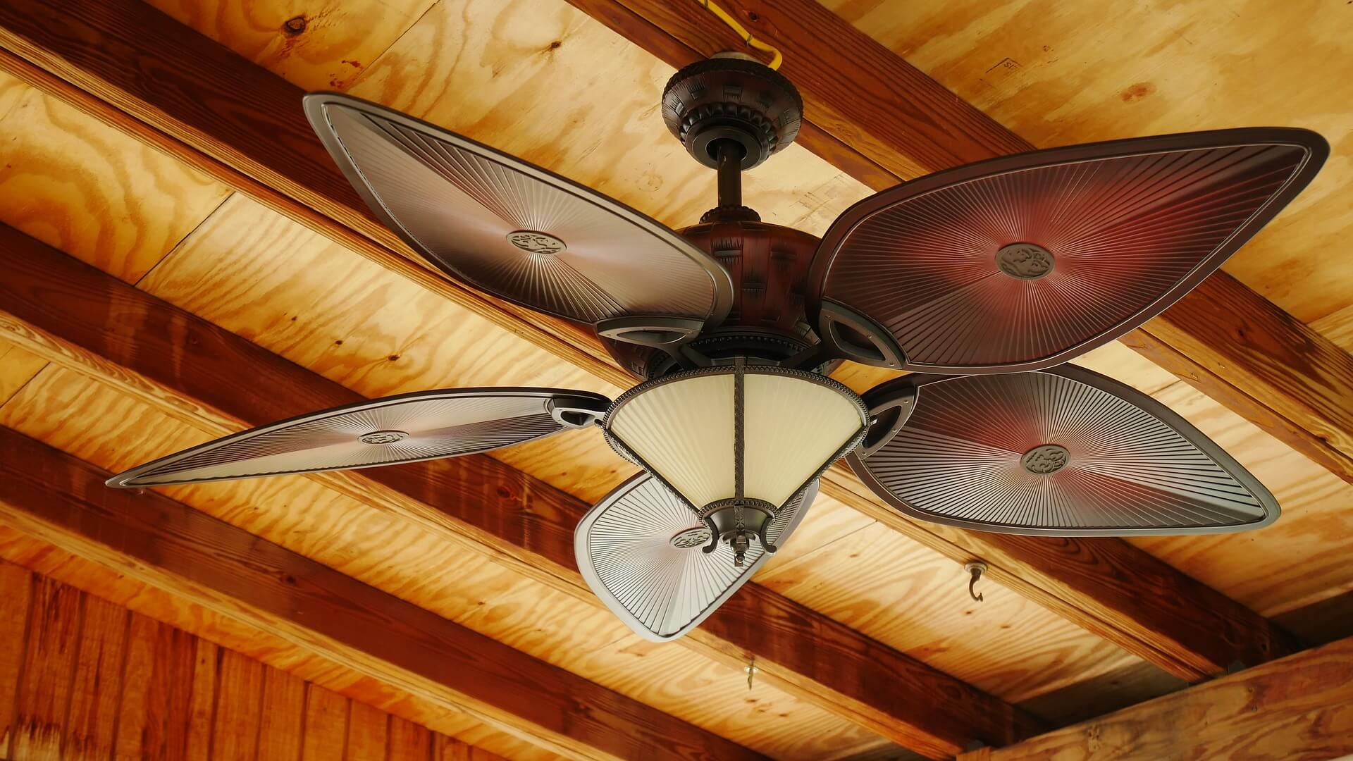 Installing a Ceiling Fan